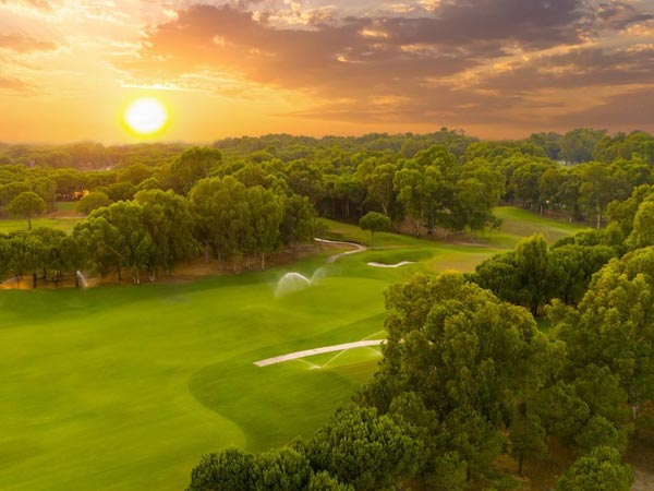 go-eagle-shots-course3